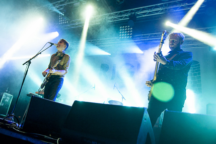 the wombats